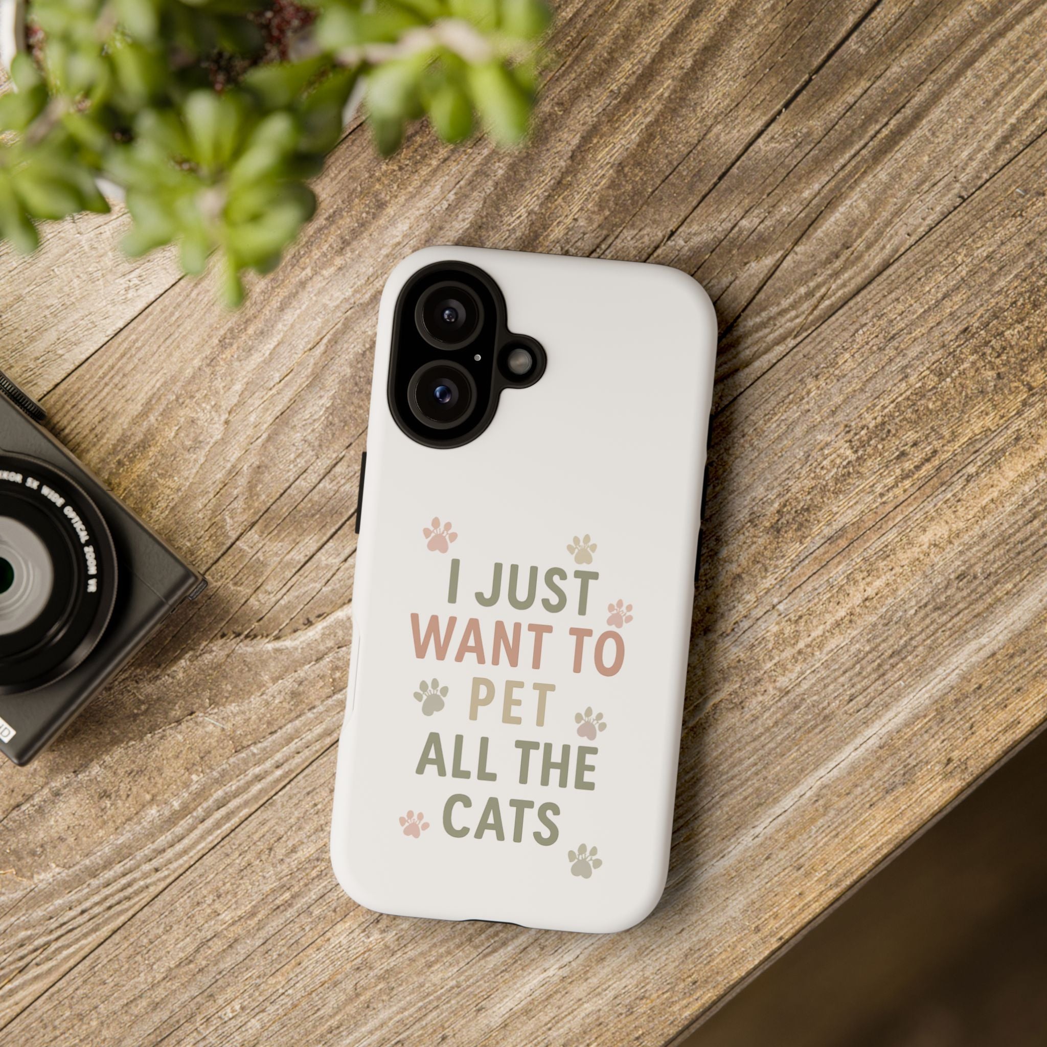 Pet Cats