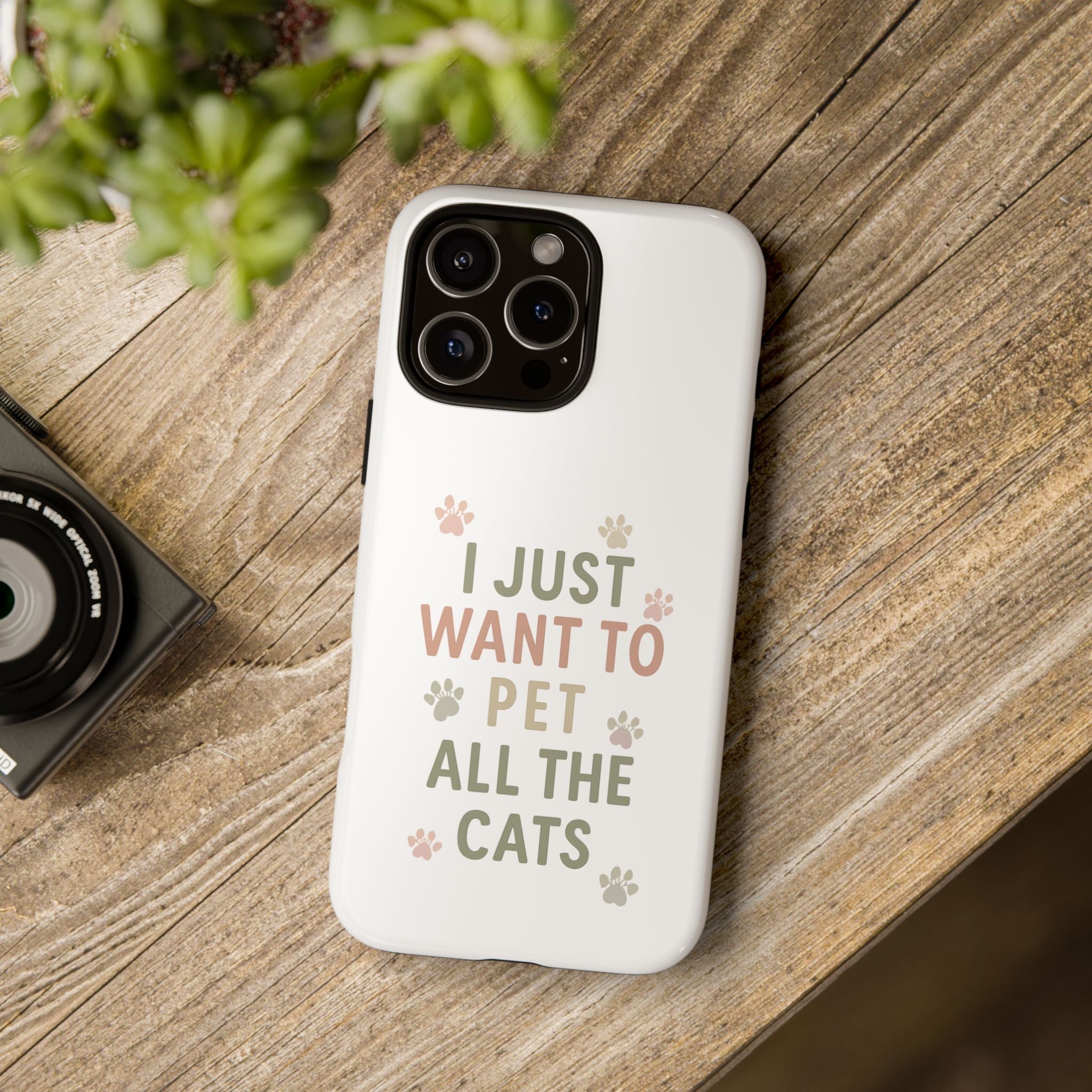 Pet Cats