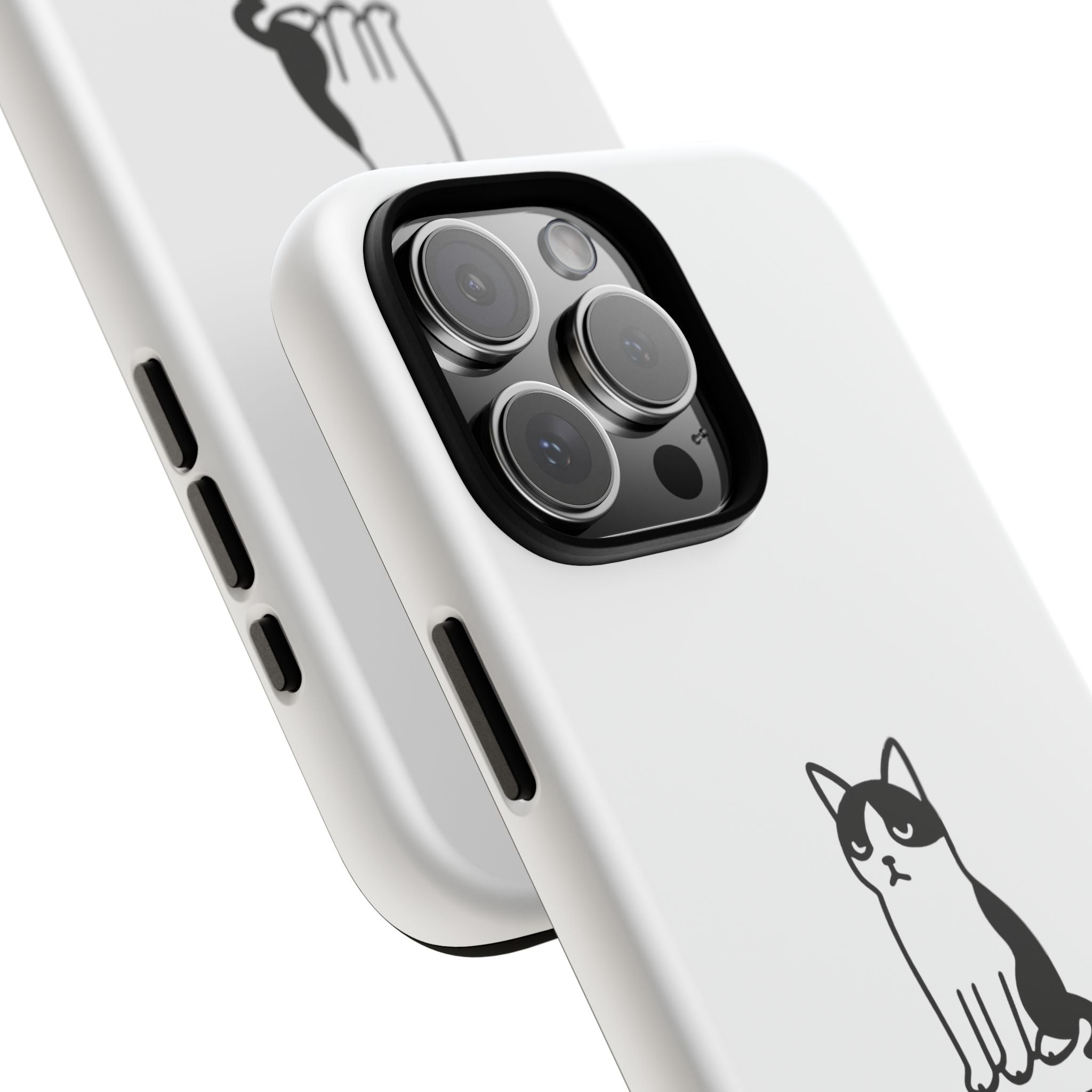 Catvert Case