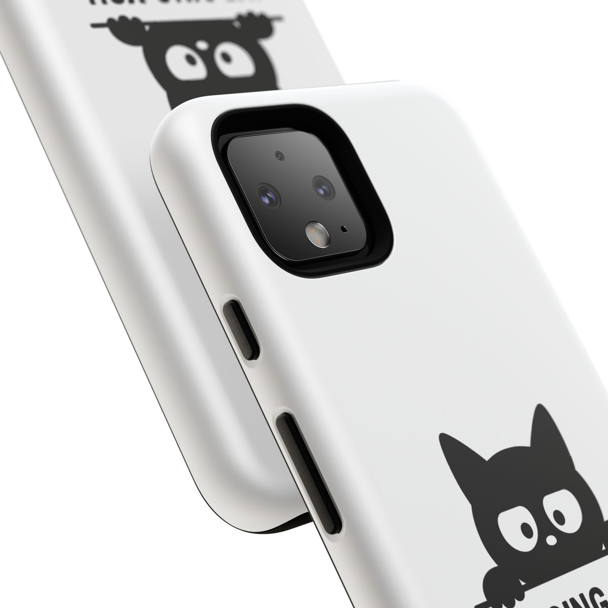 Paw Judge