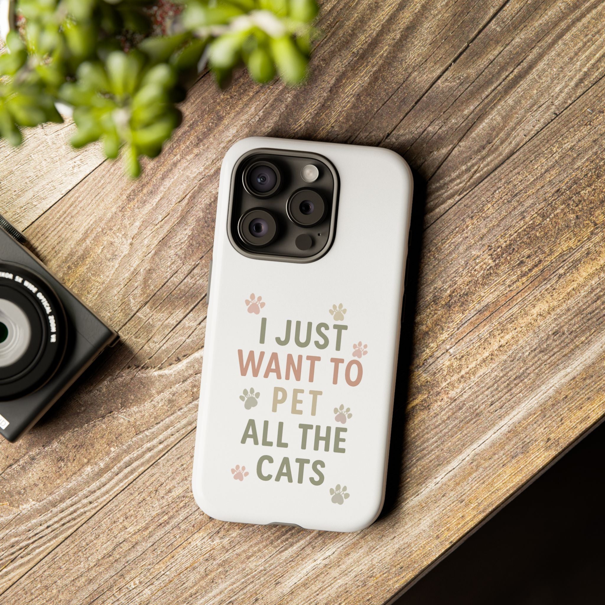 Pet Cats