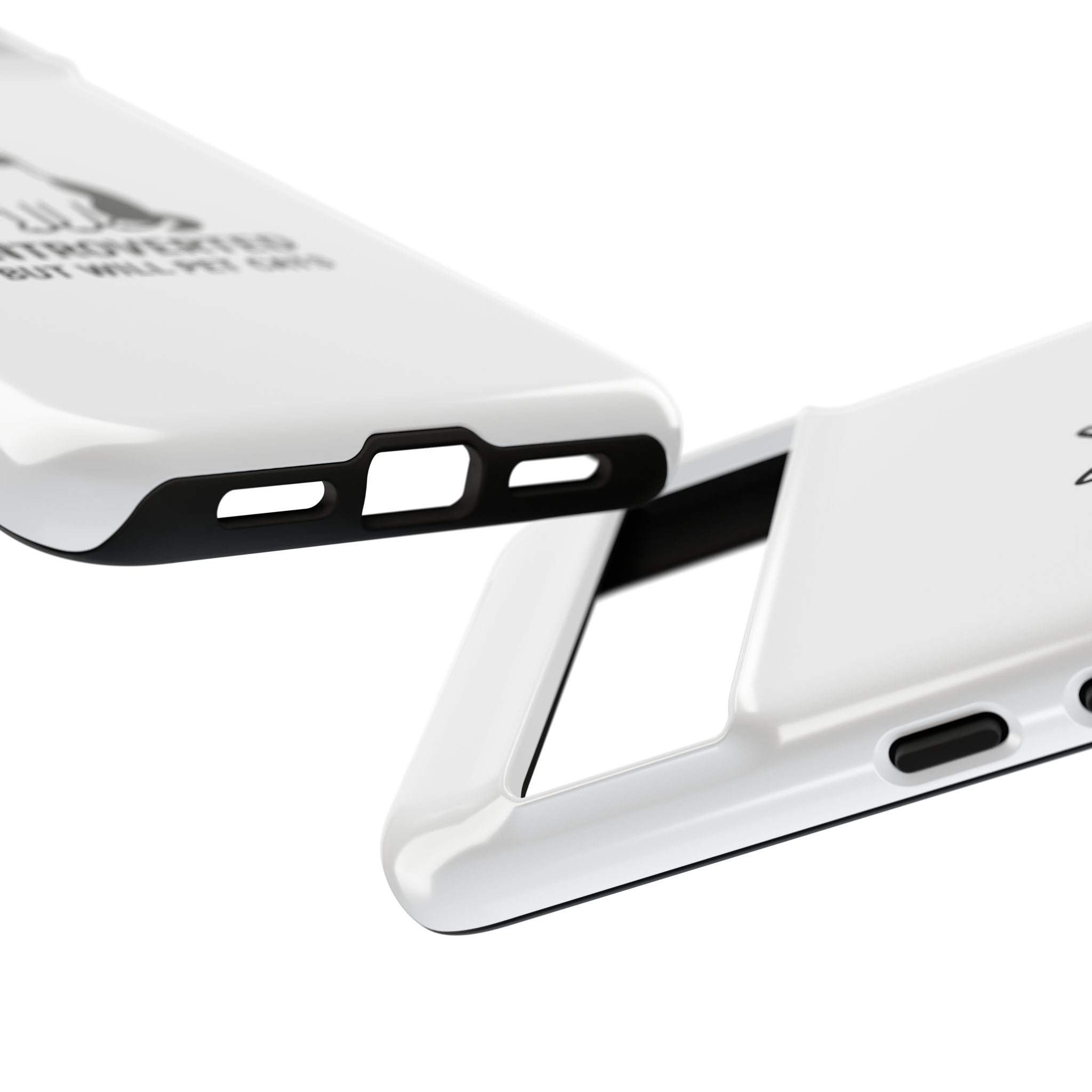 Catvert Case