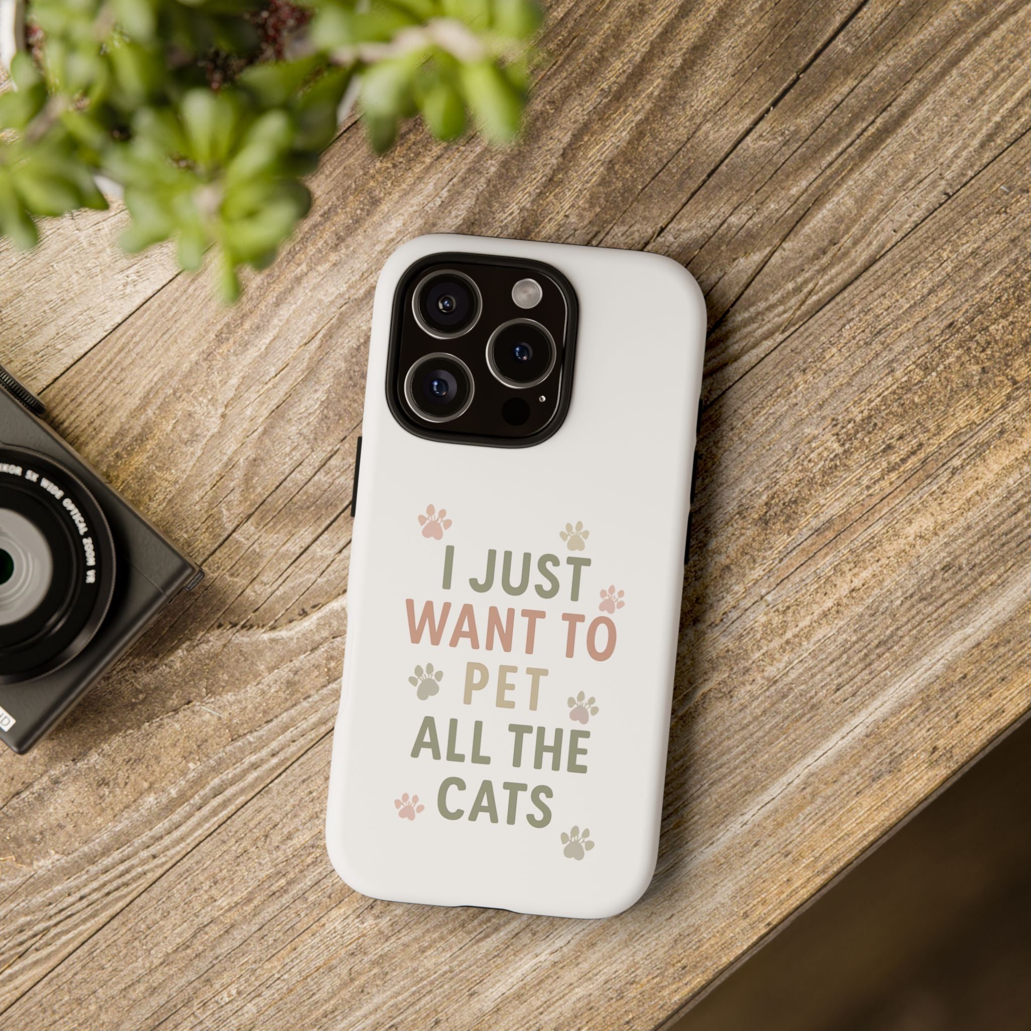 Pet Cats